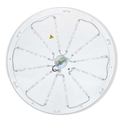 Brilagi - LED stropna svjetiljka ALSON s mogućnošću prigušivanja LED/72W/230V 3000-6500K hrast, promjer 78 cm + daljinski upravljač