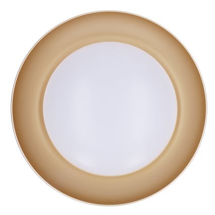 Brilagi - LED prigušivo stropno svjetlo ALVA LED/48W/230V 3000-6500K Ø 51 cm bijela + daljinski upravljač