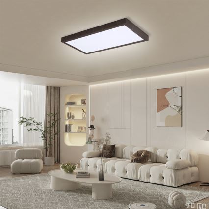 Brilagi - LED Prigušiva stropna svjetiljka za kupaonicu FRAME SMART LED/30W/230V 30x60 cm 3000-6000K  IP44 crna  + daljinski upravljač