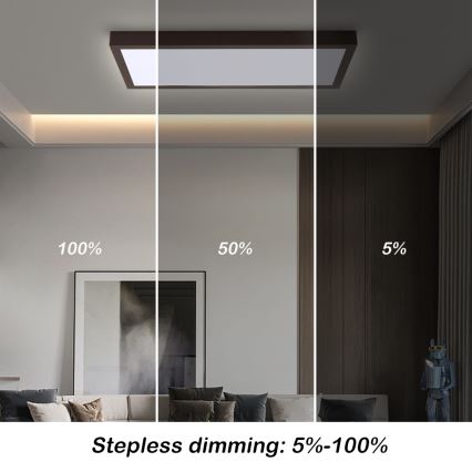 Brilagi - LED Prigušiva stropna svjetiljka za kupaonicu FRAME SMART LED/30W/230V 30x60 cm 3000-6000K  IP44 crna  + daljinski upravljač