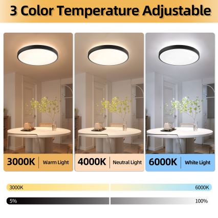 Brilagi - LED stropna svjetiljka s prigušivanjem GLASS POOL DOUBLE LED/80W/230V 3000-6000K 60 cm crna + daljinski upravljač