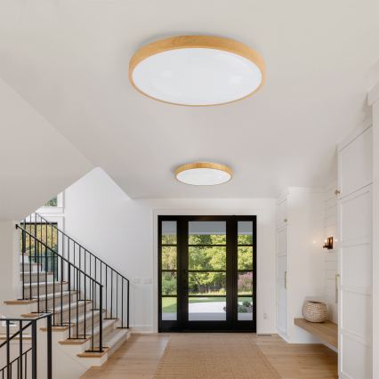 Brilagi - LED stropno svjetlo s mogućnošću prigušivanja GLASS POOL DOUBLE LED/80W/230V 3000-6000K 60 cm drveni dekor + daljinski upravljač