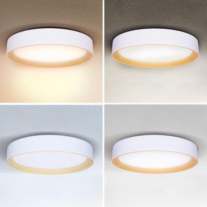 Brilagi - LED Prigušiva stropna svjetiljka LARIOS LED/48W/230V 3000-6500K ø 39 cm bijela + daljinski upravljač