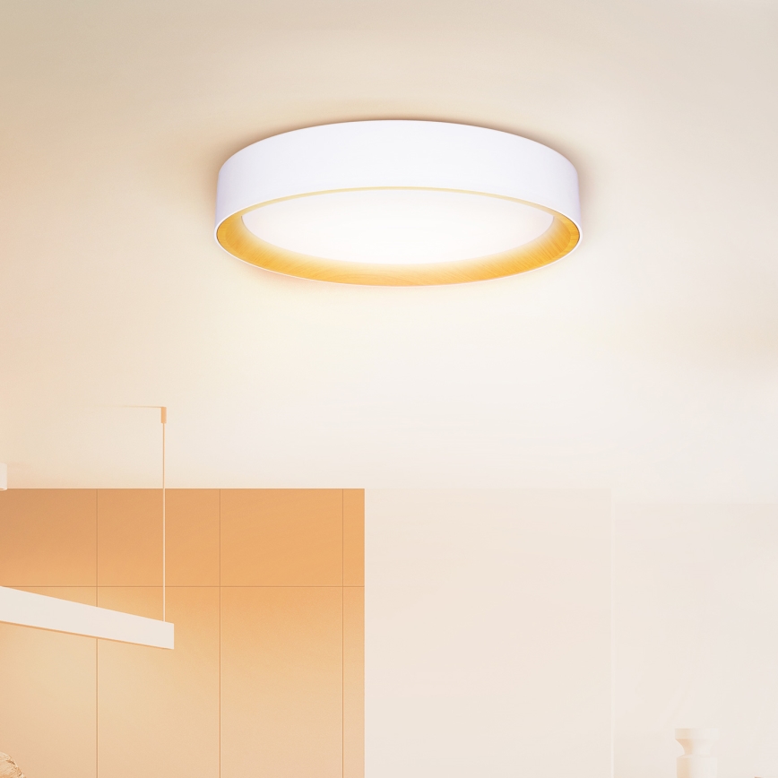 Brilagi - LED Prigušiva stropna svjetiljka LARIOS LED/48W/230V 3000-6500K ø 39 cm bijela + daljinski upravljač