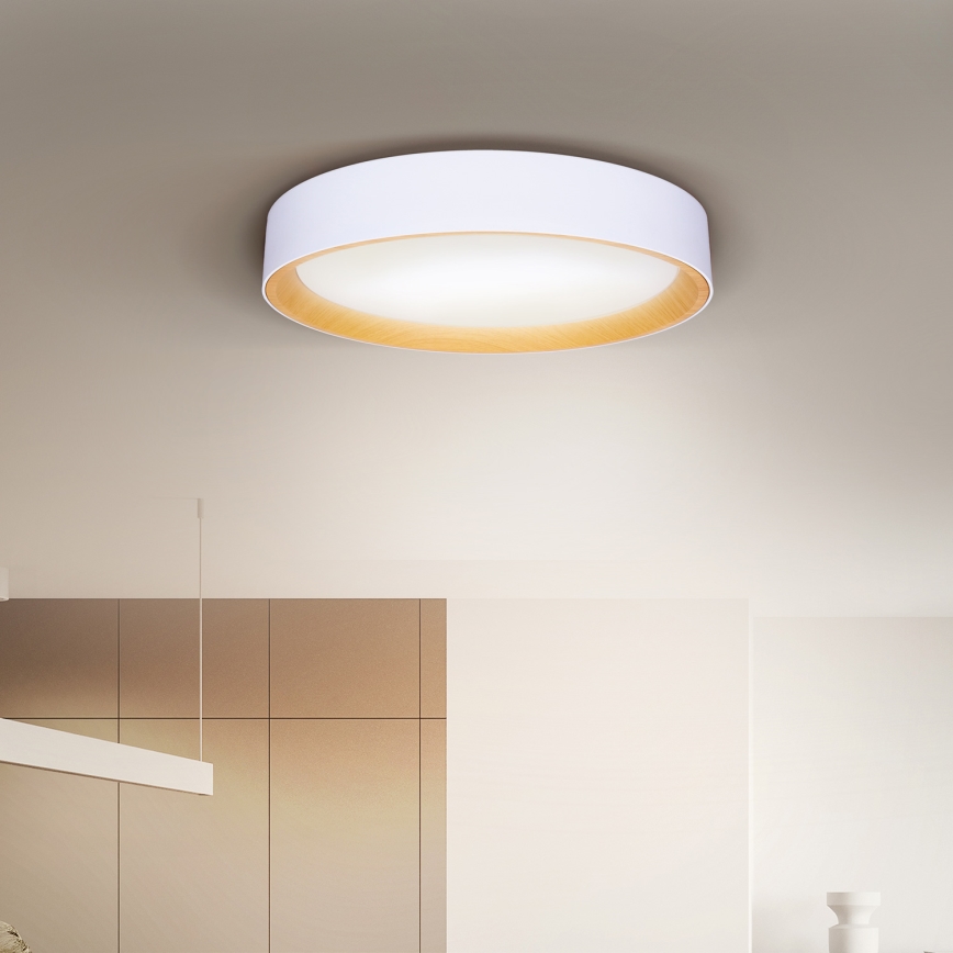 Brilagi - LED Prigušiva stropna svjetiljka LARIOS LED/48W/230V 3000-6500K ø 39 cm bijela + daljinski upravljač