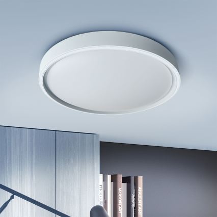 Brilagi - Prigušivo LED stropno svjetlo NANCI LED/60W/230V 3000-6500K Ø 49 cm srebrno + daljinski upravljač
