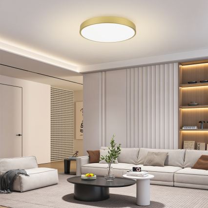 Brilagi - LED prigušivo stropno svjetlo POOL SMART LED/100W/230V 3000-6000K 80 cm zlatno Wi-Fi Tuya + daljinski upravljač