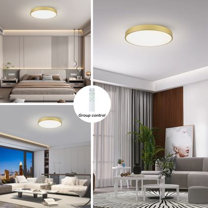 Brilagi - LED prigušivo stropno svjetlo POOL SMART LED/100W/230V 3000-6000K 80 cm zlatno Wi-Fi Tuya + daljinski upravljač