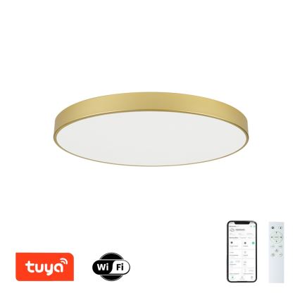 Brilagi - LED prigušivo stropno svjetlo POOL SMART LED/100W/230V 3000-6000K 80 cm zlatno Wi-Fi Tuya + daljinski upravljač
