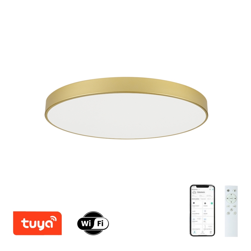 Brilagi - LED prigušivo stropno svjetlo POOL SMART LED/100W/230V 3000-6000K 80 cm zlatno Wi-Fi Tuya + daljinski upravljač
