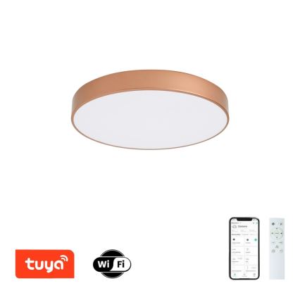 Brilagi - prigušivo LED stropno svjetlo POOL SMART LED/60W/230V 3000-6000K pr. 50 cm Wi-Fi Tuya brončano + daljinski upravljač