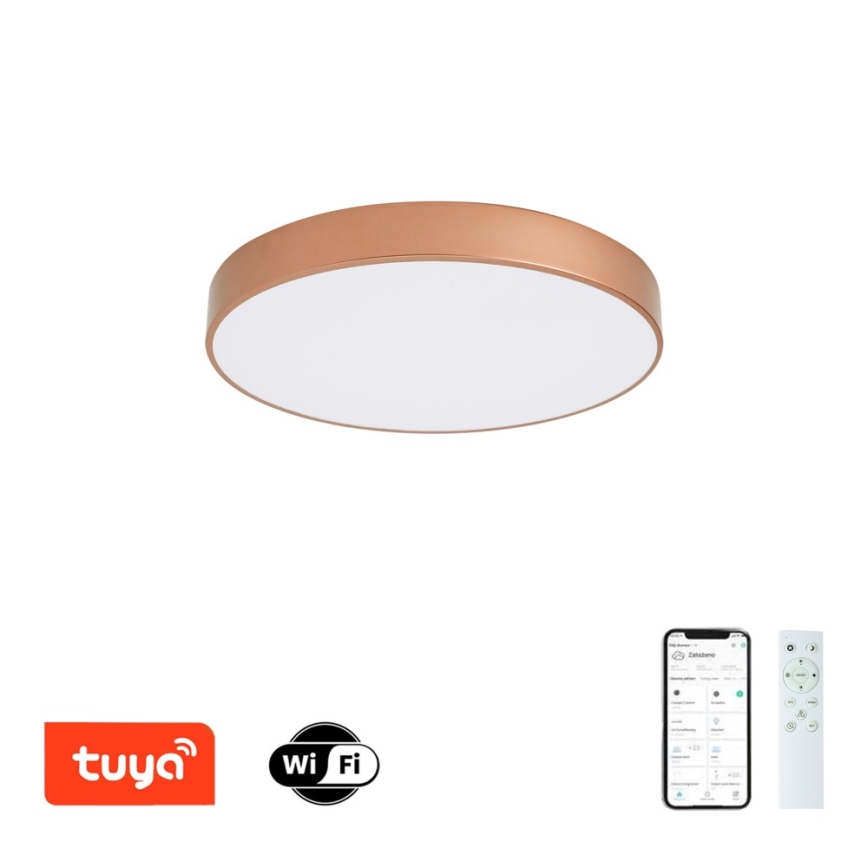 Brilagi - prigušivo LED stropno svjetlo POOL SMART LED/60W/230V 3000-6000K pr. 50 cm Wi-Fi Tuya brončano + daljinski upravljač