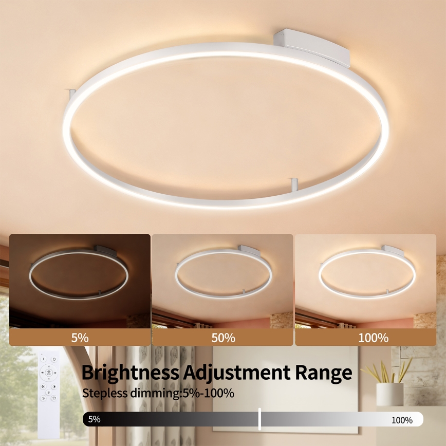 Brilagi - LED stropna svjetiljka PORTOFINO s možností prigušivanja LED/60W/230V 3000-6000K Ø 80 cm srebrna + daljinski upravljač