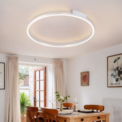 Brilagi - LED stropna svjetiljka PORTOFINO s možností prigušivanja LED/60W/230V 3000-6000K Ø 80 cm srebrna + daljinski upravljač