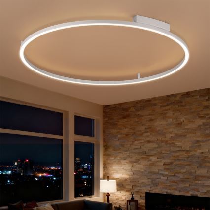 Brilagi - LED stropna svjetiljka s prigušivanjem PORTOFINO LED/85W/230V 3000-6000K pr. 120 cm srebrna + daljinski upravljač