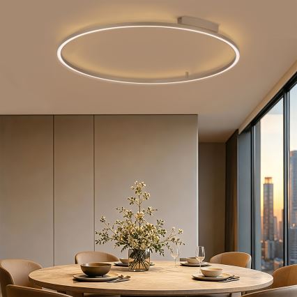 Brilagi - LED stropna svjetiljka s mogućnošću prigušivanja PORTOFINO LED/85W/230V 3000-6000K promjer 120 cm bež + daljinski upravljač