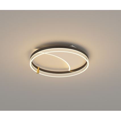 Brilagi - LED stropna svjetiljka s mogućnošću prigušivanja SIRELI LED/47W/230V 3000-6000K Ø 40 cm + daljinsko upravljanje