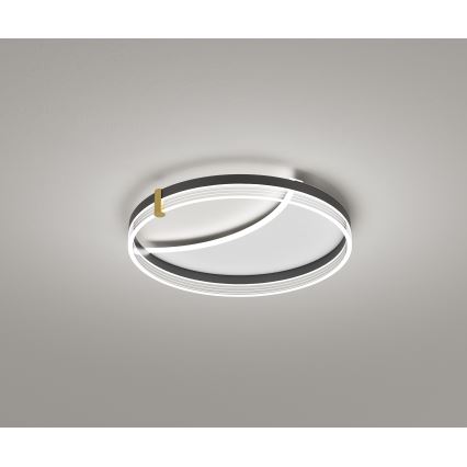 Brilagi - LED stropna svjetiljka s mogućnošću prigušivanja SIRELI LED/47W/230V 3000-6000K Ø 40 cm + daljinsko upravljanje