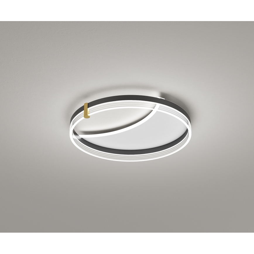 Brilagi - LED stropna svjetiljka s mogućnošću prigušivanja SIRELI LED/47W/230V 3000-6000K Ø 40 cm + daljinsko upravljanje