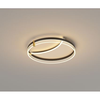 Brilagi - LED stropna svjetiljka s mogućnošću prigušivanja SIRELI LED/47W/230V 3000-6000K Ø 40 cm + daljinsko upravljanje