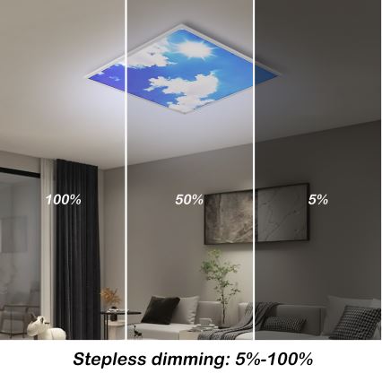 Brilagi - LED stropna svjetiljka s mogućnošću prigušivanja SLIMFRAME SKY LED/58W/230V 60x60 cm 3000-6000K srebrno/plavo + daljinski upravljač