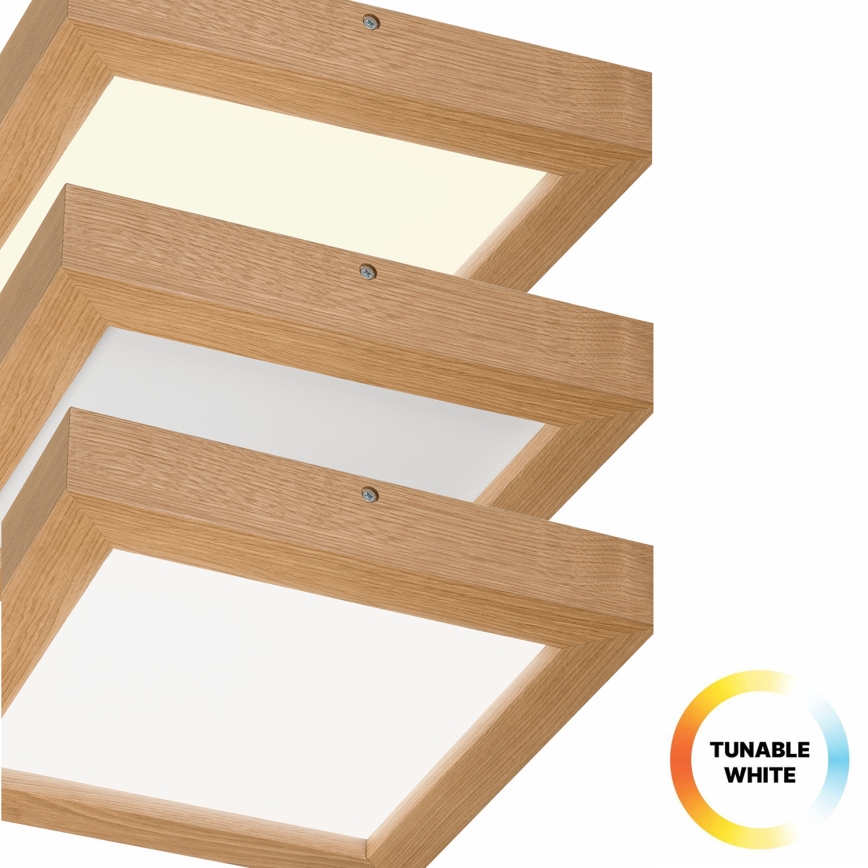 Brilagi - LED Prigušiva stropna svjetiljka za kupaonicu WOODY FRAME LED/24W/230V hrast 30x30 cm 3000-6000K IP44 + daljinski upravljač