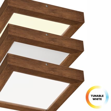 Brilagi - LED Prigušiva stropna svjetiljka za kupaonicu WOODY FRAME LED/24W/230V hrast trešnja 30x30 cm 3000-6000K IP44 + daljinski upravljač