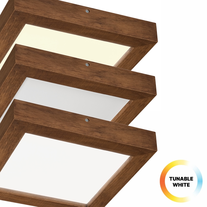 Brilagi - LED Prigušiva stropna svjetiljka za kupaonicu WOODY FRAME LED/24W/230V hrast trešnja 30x30 cm 3000-6000K IP44 + daljinski upravljač