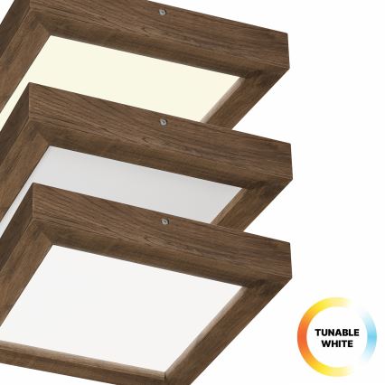 Brilagi - LED Prigušiva stropna svjetiljka za kupaonicu WOODY FRAME LED/24W/230V hrast 30x30 cm 3000-6000K IP44 + daljinski upravljač
