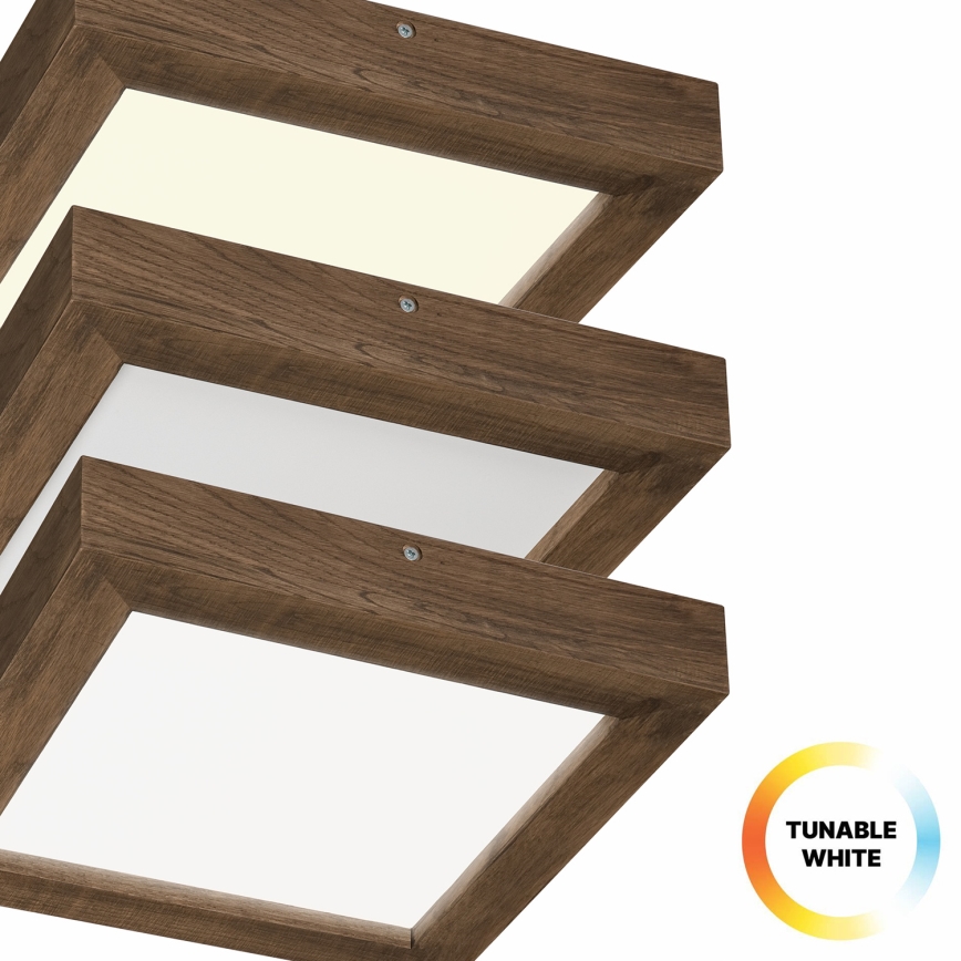 Brilagi - LED Prigušiva stropna svjetiljka za kupaonicu WOODY FRAME LED/24W/230V hrast 30x30 cm 3000-6000K IP44 + daljinski upravljač