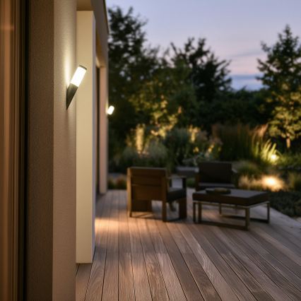BRILAGI - LED vanjska zidna svjetiljka ELIA s mogućnošću prigušivanja 1xE27/6W/230V 2700-6500K IP44 Wi-Fi antracit
