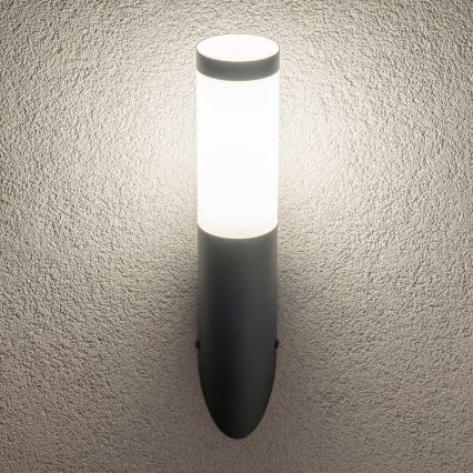 BRILAGI - LED vanjska zidna svjetiljka ELIA s mogućnošću prigušivanja 1xE27/6W/230V 2700-6500K IP44 Wi-Fi antracit