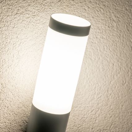 BRILAGI - LED vanjska zidna svjetiljka ELIA s mogućnošću prigušivanja 1xE27/6W/230V 2700-6500K IP44 Wi-Fi antracit