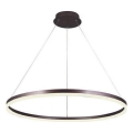 Brilagi - LED prigušivač luster na užetu CIRCLE LED/55W/230V 3000-6500K smeđa + daljinski upravljač