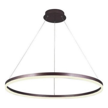 Brilagi - LED prigušivač luster na užetu CIRCLE LED/55W/230V 3000-6500K smeđa + daljinski upravljač