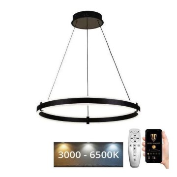 Brilagi - LED prigušivač luster na užetu CIRCLE LED/85W/230V 3000-6500K crna + daljinski upravljač