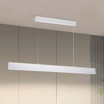 Brilagi - LED prigušivač lustera na užetu SLIMLINE LED/40W/230V 3000-6000K bijela + daljinski upravljač
