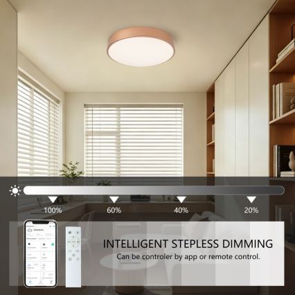 Brilagi - Prigušivo LED stropno svjetlo POOL SMART LED/48W/230V 3000-6000K promjer 40 cm Wi-Fi Tuya brončano + daljinski upravljač