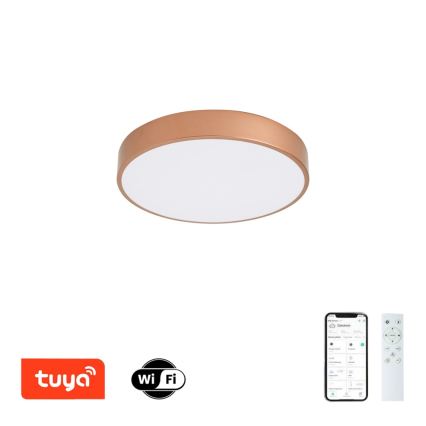 Brilagi - Prigušivo LED stropno svjetlo POOL SMART LED/48W/230V 3000-6000K promjer 40 cm Wi-Fi Tuya brončano + daljinski upravljač