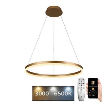 Brilagi - LED prigušivački luster na užetu CIRCLE LED/42W/230V 3000-6500K + daljinski upravljač