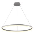Brilagi - LED prigušivački luster na užetu CIRCLE LED/55W/230V 3000-6500K srebrna + daljinski upravljač