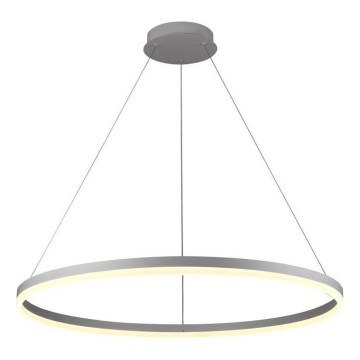 Brilagi - LED prigušivački luster na užetu CIRCLE LED/55W/230V 3000-6500K srebrna + daljinski upravljač