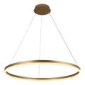 Brilagi - LED prigušivački luster na užetu CIRCLE LED/55W/230V 3000-6500K zlatna + daljinski upravljač