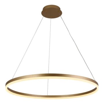 Brilagi - LED prigušivački luster na užetu CIRCLE LED/55W/230V 3000-6500K zlatna + daljinski upravljač