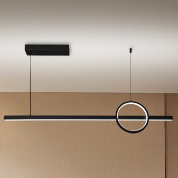 Brilagi - LED prigušivački luster na užetu NIVIO LED/20W/230V 3000/4000/6000K + daljinski upravljač