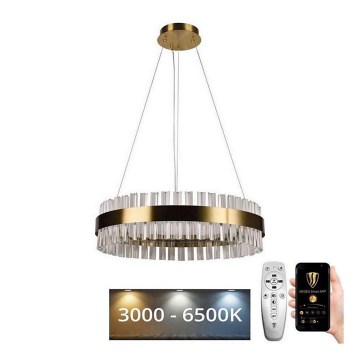Brilagi - LED Prigušivi kristalni luster na sajli HALO LED/40W/230V + daljinski upravljač