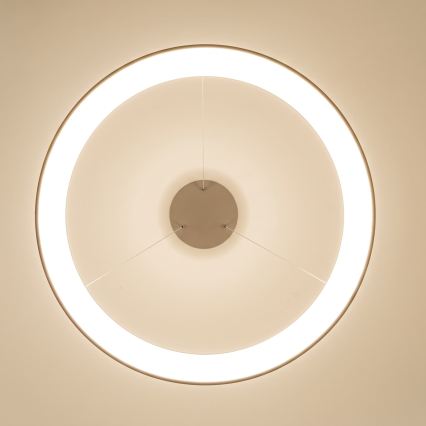 BRILAGI - LED prigušiv luster na sajli FALCON II LED/108W/230V 3000-6500K Ø 80 cm bež + daljinski upravljač