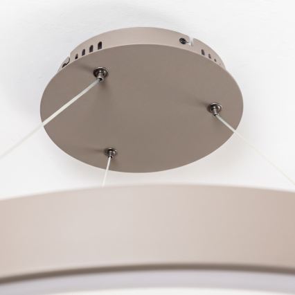 BRILAGI - LED prigušiv luster na sajli FALCON II LED/108W/230V 3000-6500K Ø 80 cm bež + daljinski upravljač