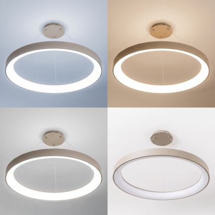 BRILAGI - LED prigušiv luster na sajli FALCON II LED/108W/230V 3000-6500K Ø 80 cm bež + daljinski upravljač