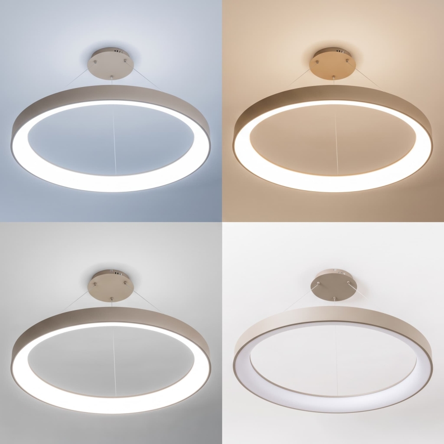 BRILAGI - LED prigušiv luster na sajli FALCON II LED/108W/230V 3000-6500K Ø 80 cm bež + daljinski upravljač